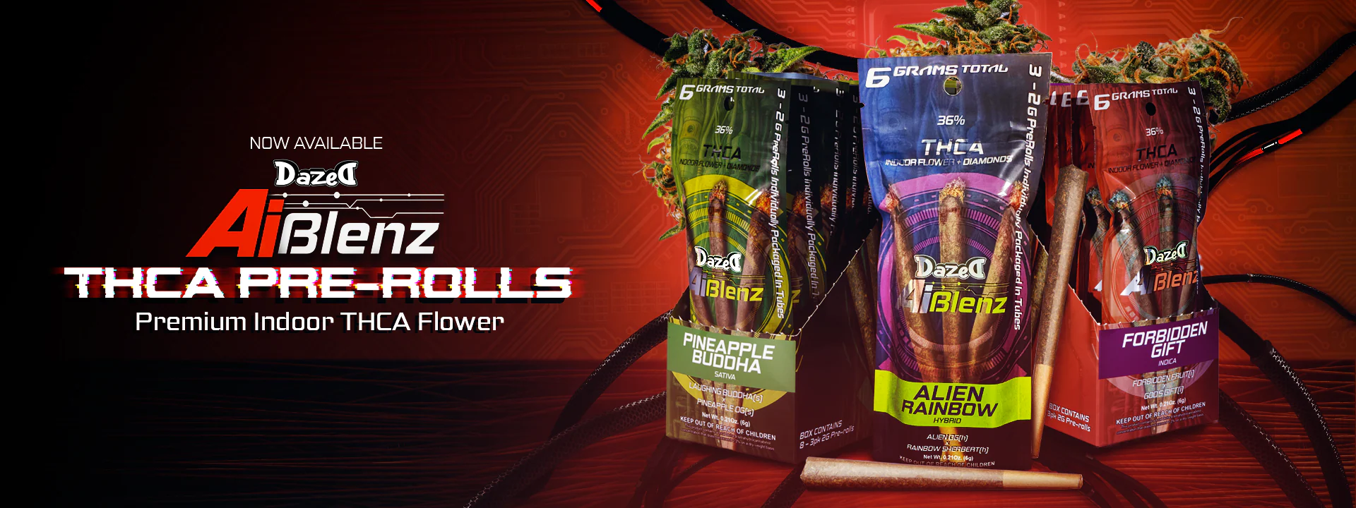 Elevate Your Daily Ritual